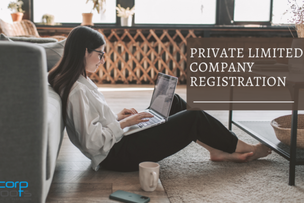 A Guide to Private Limited Company Registration